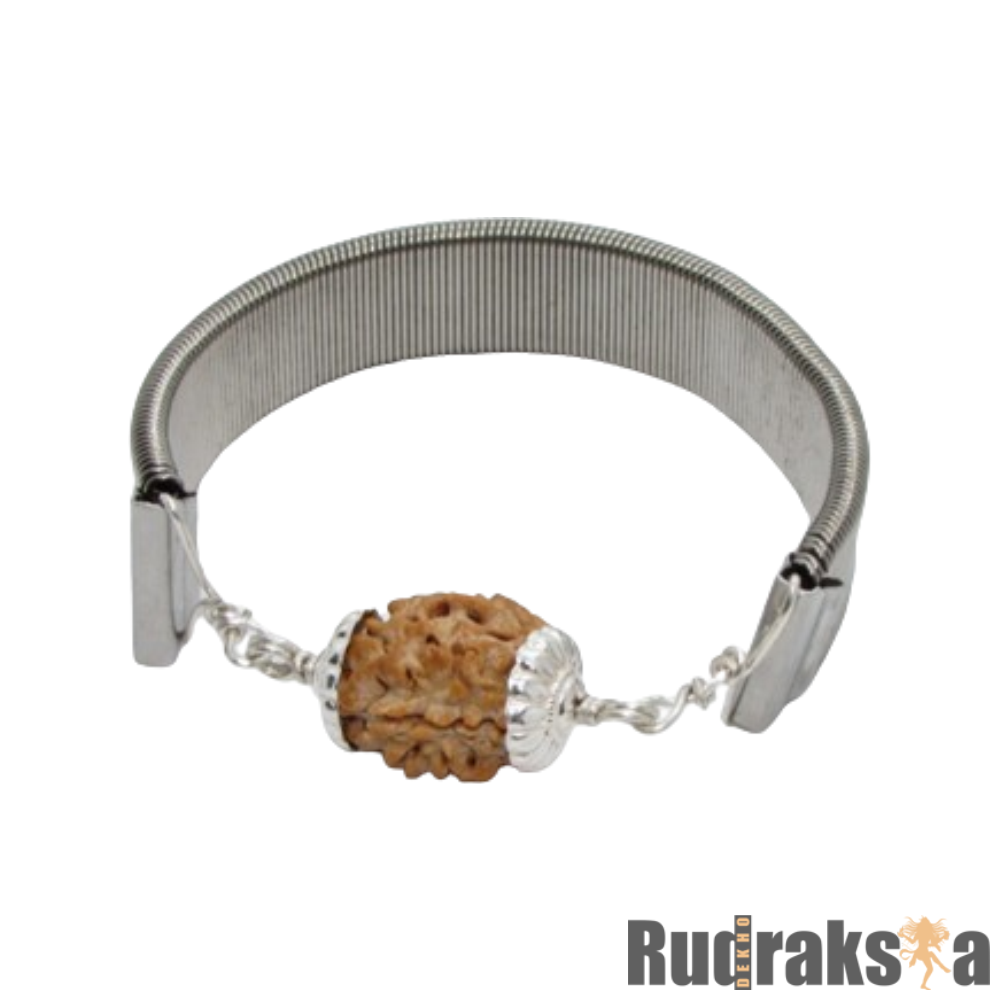 2 mukhi silverbracelet-two face-do-fashion-buy-ommrudraksha. Rudraksha  beads of Nepal is used as mala, bracelet & worn for health and disease cure  benefits