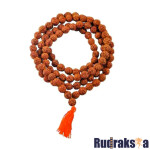 10 Mukhi Rudraksha Mala/Necklace - 108 Beads
