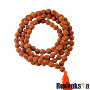 10 Mukhi Rudraksha Mala/Necklace - 108 Beads