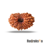 18 Mukhi Rudraksha Nepal Bead