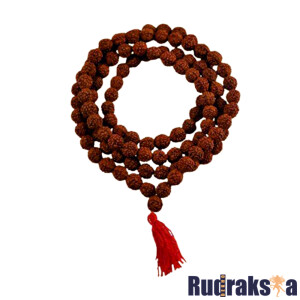 5 Mukhi Rudraksha Mala/Necklace - 108 Beads
