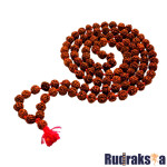 5 Mukhi Rudraksha Mala/Necklace - 108 Beads