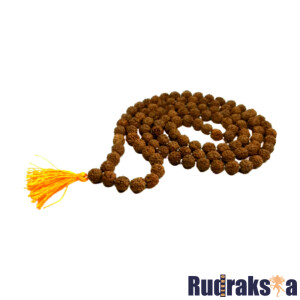 6 Mukhi Rudraksha Mala/Necklace - 108 Beads