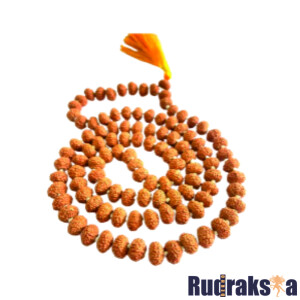 8 Mukhi Rudraksha Mala/Necklace - 108 Beads