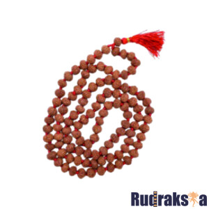 9 Mukhi Rudraksha Mala/Necklace - 108 Beads