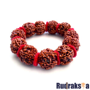 5 Mukhi Rudraksha Bead Mala Bracelet (25-27mm)