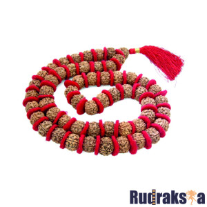 5 Mukhi Rudraksha Bead Kantha Mala Necklace - 54 Beads (18-20mm)