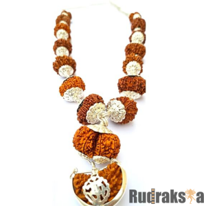 Indrani Mala 1 to 21 Mukhi Nepal Beads - Pure Silver Pendant and Chain