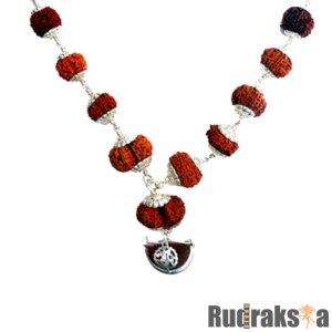 Siddha Mala 1 to 14 Mukhi Nepal Beads - Pure Silver Pendant and Chain