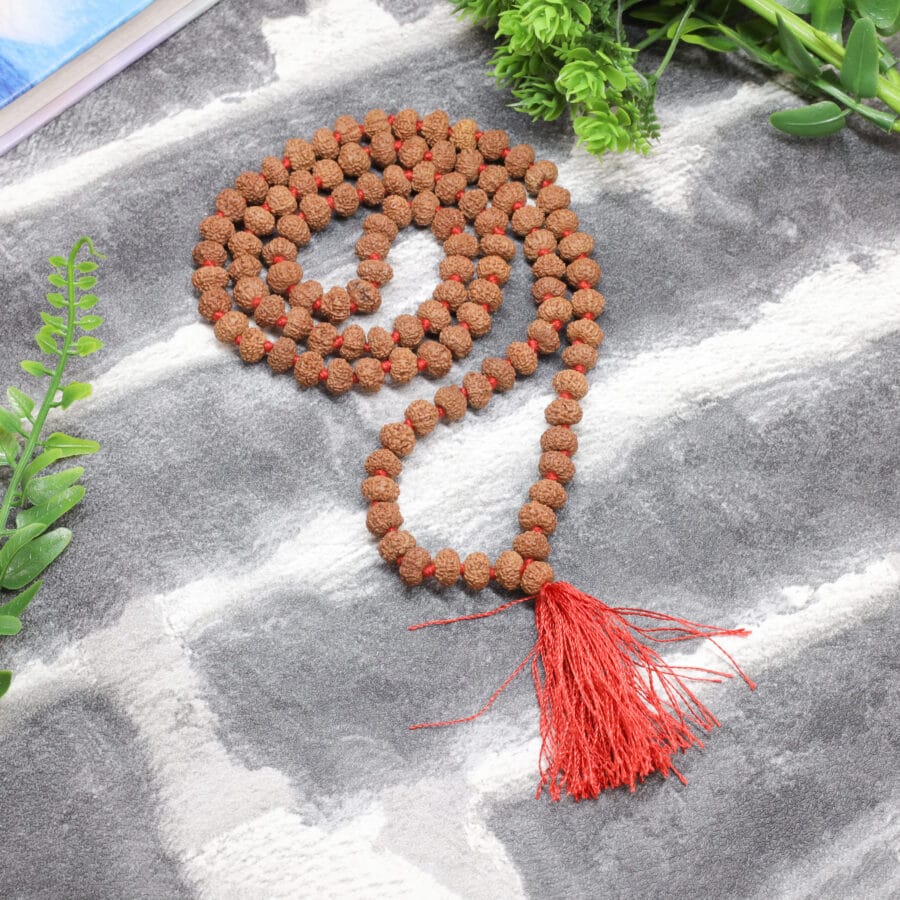 10 mukhi rudraksha mala